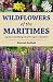 Wildflowers of the Maritimes: A guide to identifyi