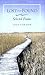 Lost and Found: Selected Poems