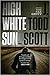 High White Sun by J. Todd Scott