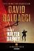 Fallet Walter Dabney by David Baldacci