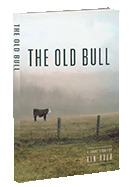 The Old Bull