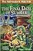 The Adirondack Kids #10: The Final Daze of Summer