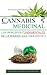 Cannabis Medicinal: Los pri...