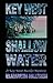 Key West Shallow Water by Elizabeth Hilleren