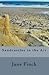 Sandcastles in the Air by Jane Finch