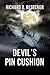 Devil's Pin Cushion