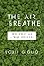 The Air I Breathe by Louie Giglio