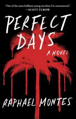Perfect Days: A Novel