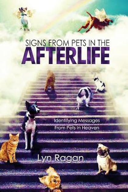 Signs From Pets In The Afterlife: Identifying Messages From Pets In Heaven
