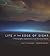 Life at the Edge of Sight by Scott Chimileski