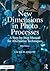 New Dimensions in Photo Processes: A Step-by-Step Manual for Alternative Techniques (Alternative Process Photography)