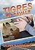 Tigres en cavale (Tigers and Devils, #3)