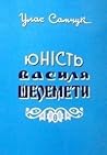 Юність Василя Шеремети