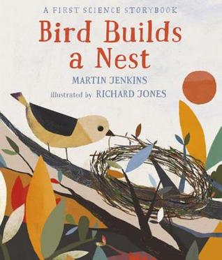 Bird Builds a Nest: A First Science Storybook (Science Storybooks)