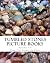 Over 700 Stones by Color (T...