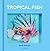 Tropical Fish by David Hawcock