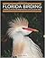 Florida Birding by Mark B.  Smith
