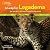 A Leap for Legadema by Beverly Joubert