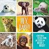 Hey, Baby!: A Collection of Pictures, Poems, and Stories from Nature's Nursery