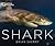 Shark by Brian Skerry