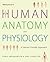Making Sense of Human Anatomy and Physiology: A Learner-Friendly Approach