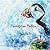 PEREGRINE PUFFIN