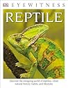 Reptile by Colin McCarthy