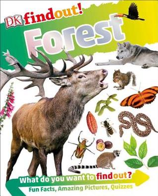 DKfindout! Forest (Paperback)