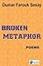 Broken Metaphor