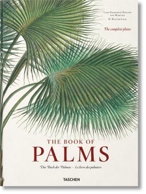The Book of Palms / Das Buch der Palmen / Le livre des palmiers