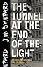 The Tunnel at the End of the Light: Essays on Movies and Politics