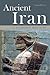 Ancient Iran: A Concise History
