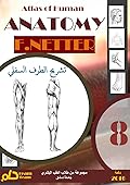 أطلس تشريح الإنسان - تشريح الطرف السفلي