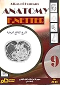 أطلس تشريح الإنسان - تشريح المقاطع العرضية