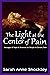 The Light at the Center of ...