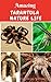 Amazing Tarantula Nature Life