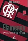 Flamengo by Ruy Castro