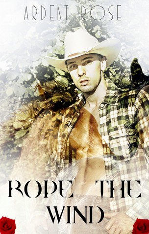 Rope the Wind (Kindle Edition)