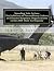 Speeding Into Action: The I...