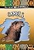 Camels (All About Wild Animals)