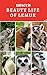 Unseen Beauty Life of Lemur...