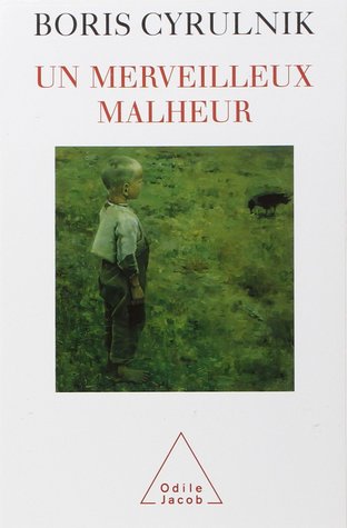 Un merveilleux malheur (Paperback)