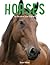 Horses: The Illustrated Guide to Breeds