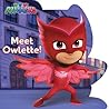 Meet Owlette!