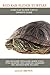 Red Ear Slider Turtles: Red Ear Slider Turtle care, where to buy, types, behavior, cost, handling, husbandry, diet, and much more included! A Red Ear Slider Turtle Owner’s Guide