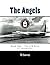 The Angels (The CIA Area 51...