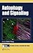 Autophagy and Signaling (Methods in Signal Transduction Series)