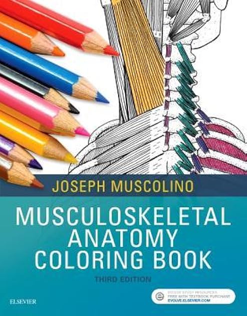 Musculoskeletal Anatomy Coloring Book