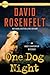 One Dog Night (Andy Carpenter #9)