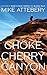 Chokecherry Canyon (Four Corners Thrillers Book 1)